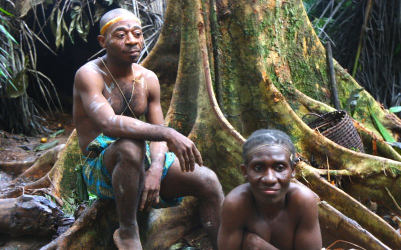 photo of OECD takes up complaint that WWF has funded abuses of Cameroon's forest peoples image