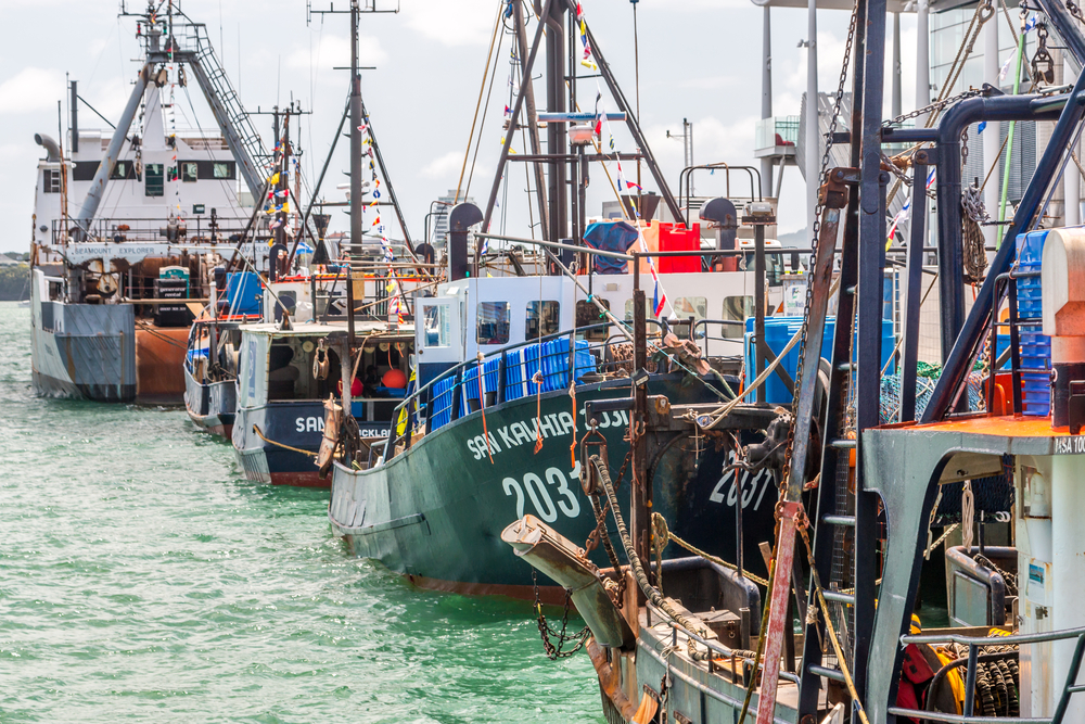 photo of Ecologist Special Report: New Zealand's Fisheries' Fraud image