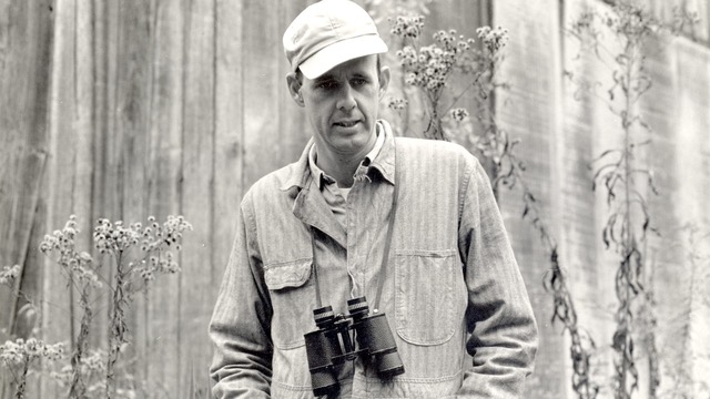 photo of Wendell Berry - poet, essayist, farmer, activist, rural philosopher image