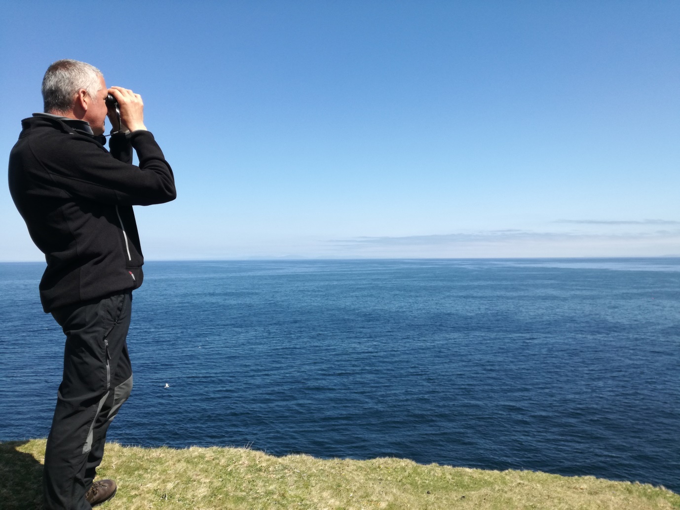 photo of Your chance to whale-watch in Scotland! image
