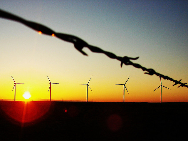 photo of Wind power booms in oil-rich Texas image