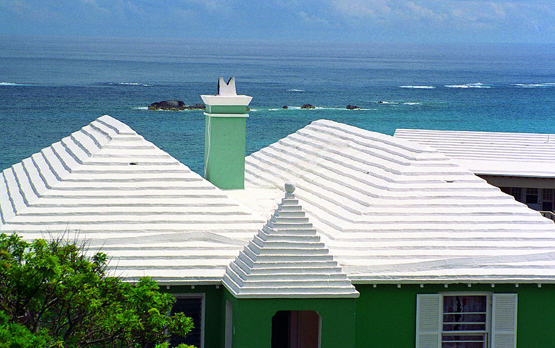 photo of Green or white? Planted or painted roofs can cool buildings image