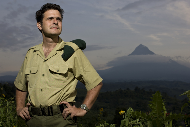 photo of WWF: UK oil company must quit Virunga Park image