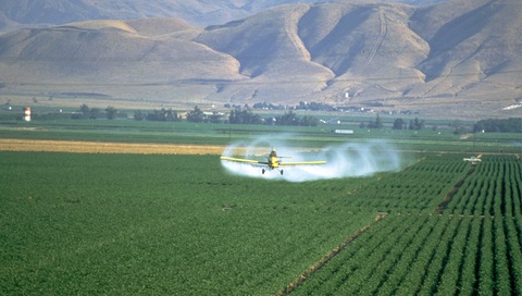 photo of Last chance to stop USDA approval of 2,4-D GMO crops image