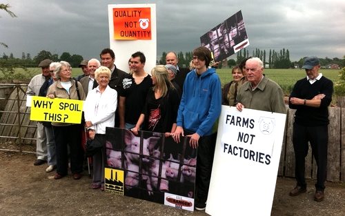 photo of Big stink! 24,500-pig factory farm defeated image