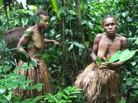 photo of Indigenous Peoples destroyed for misguided 'conservation' image