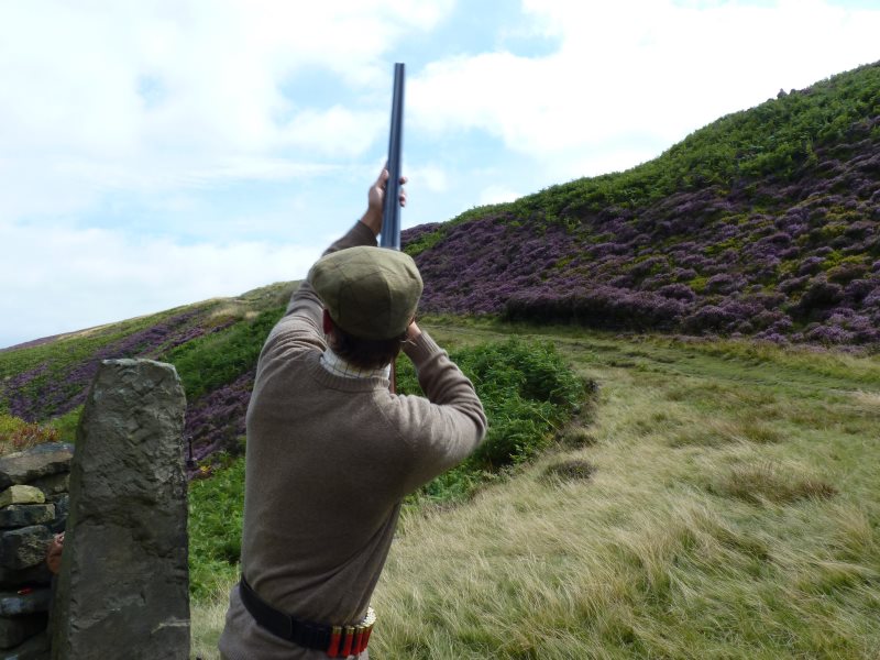 photo of Time to close down Britain's devastating grouse-shooting industry image