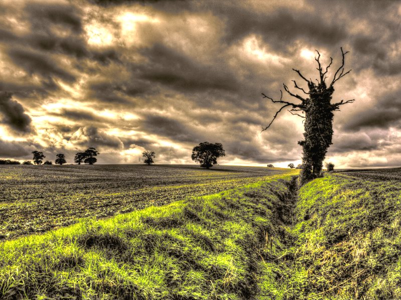 photo of Dark days ahead for British agriculture? Or green shoots of a brighter future? image