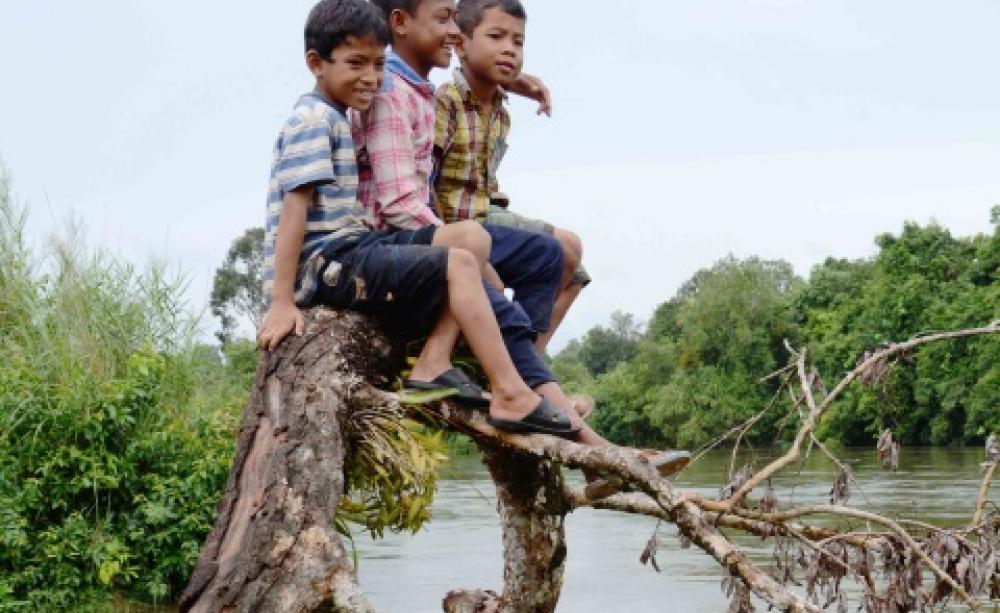 Chong boys playing up a tree by the Areng river. Photo: Rod Harbinson.