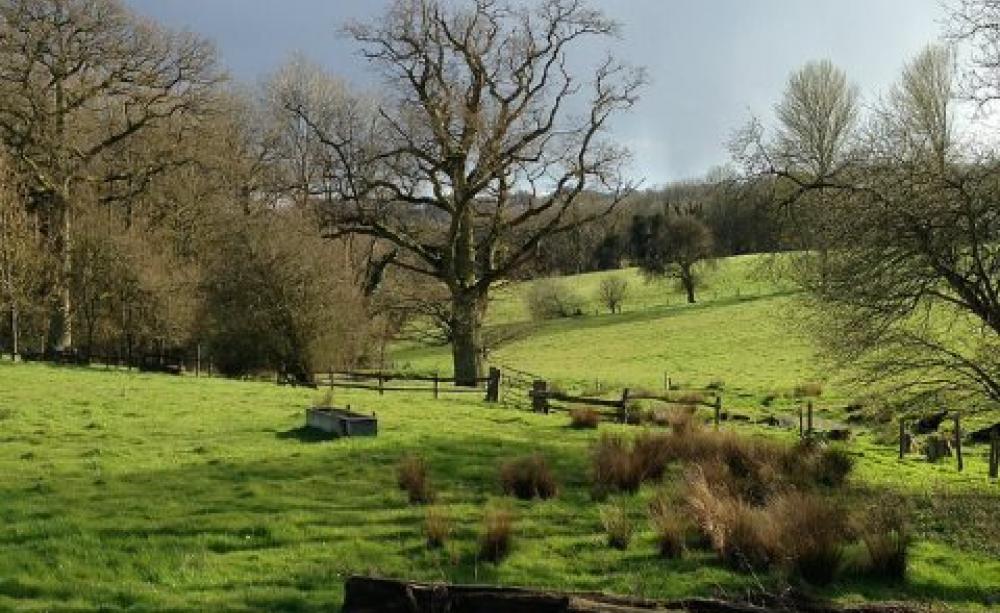 Never mind the drinking water aquifers and the national park - the South Downs is one of England's most cherished landscapes that could be opened up for fracking. Photo: Jaydee! via Flickr.