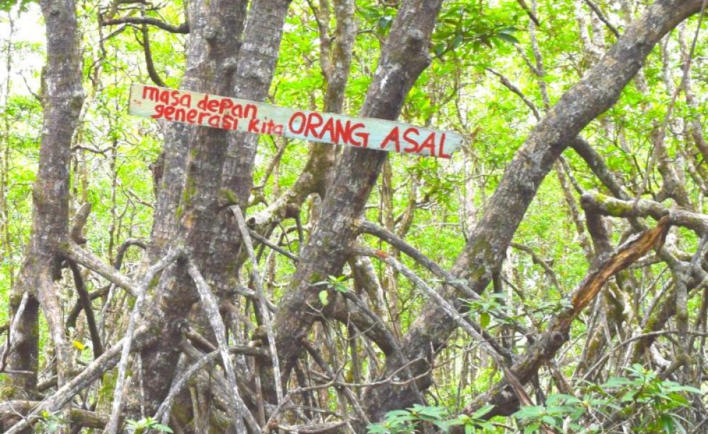 Local communities in Pitas are monitoring the area in order to prevent the project from expanding into the remaining 1,000 acres of mangrove forest. The sign reads: Future for indigenous peoples. Photo: Camilla Capasso / FPP.