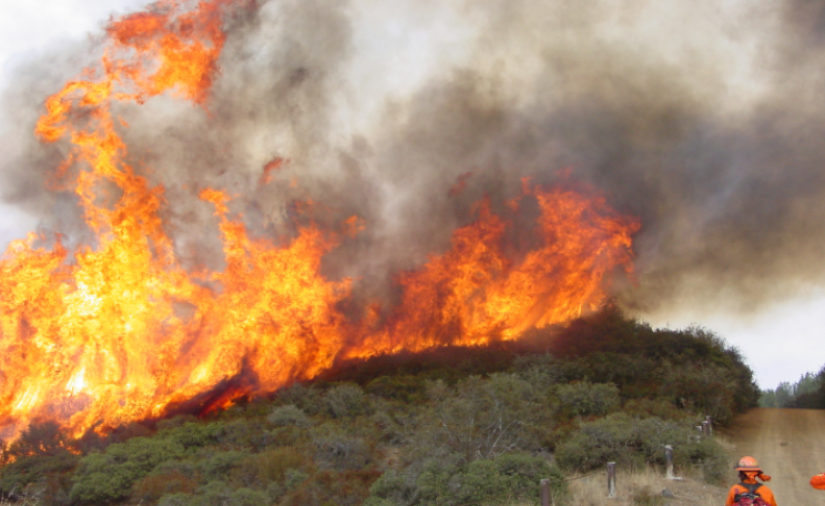 California wildfire management