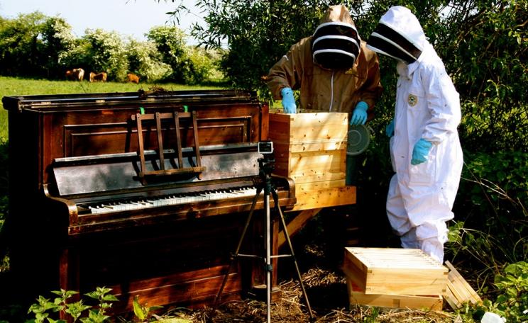 Lily Hunter Green's piano-beehive, pictured in a sunny field