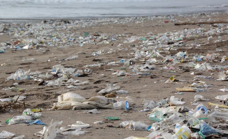 Beach strewn with plastic waste