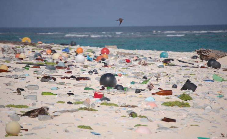 Beach littered with plastics