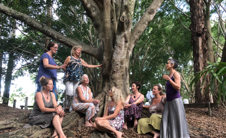 TreeSisters