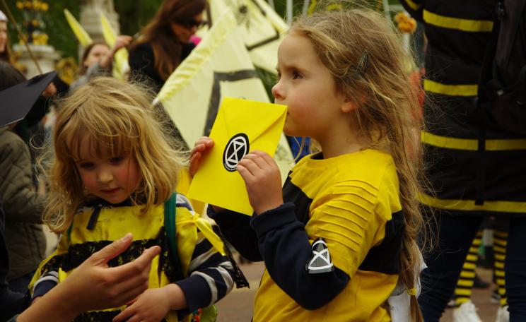 Beehive baby protest