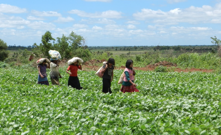 Women in Paraguay