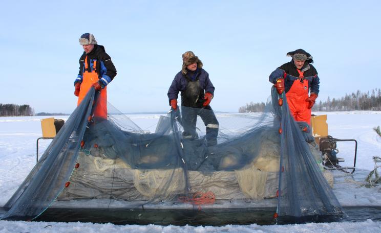 Winter sein fishermen on Lake Puruvesi, Finland