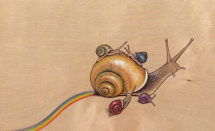 Snail illustration