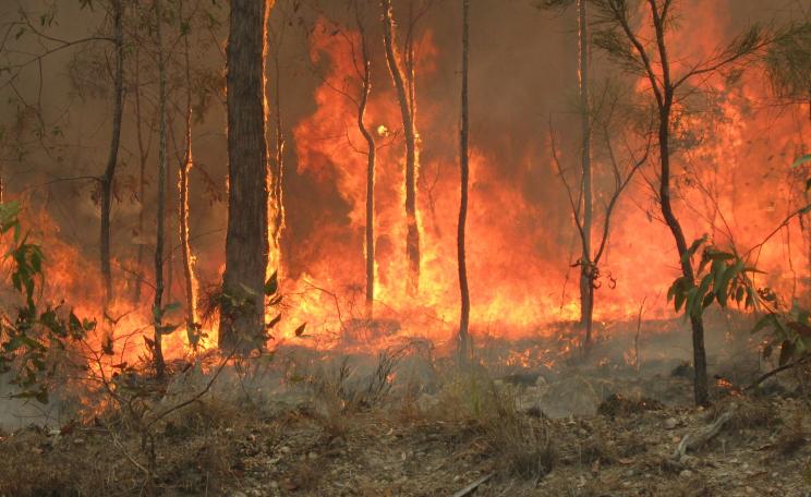 Bush fire at Captain Creek central Queensland Australia