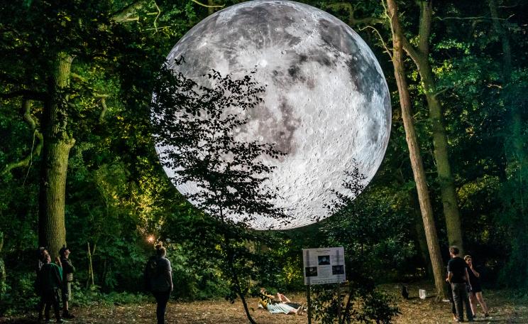 Luke Jerram's model of the moon in a forest setting.