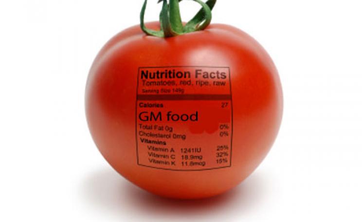 A gm labelled tomato
