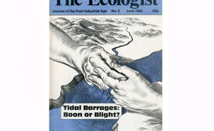 Vol. 10 No. 5 - June 1980 Ecologist Magazine