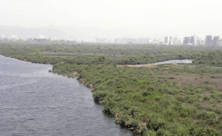 The proposed site of the new international airport in Mumbai