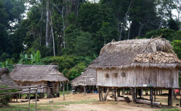 A forest community