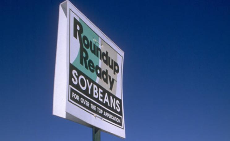 Monsanto's 'Roundup Ready'