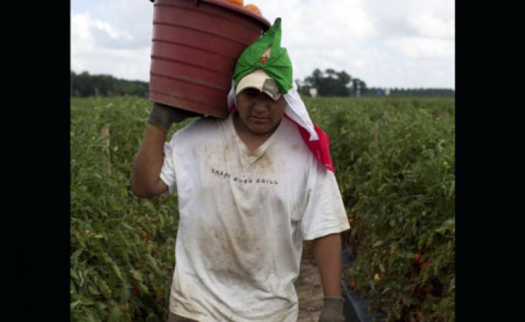 Migrant worker