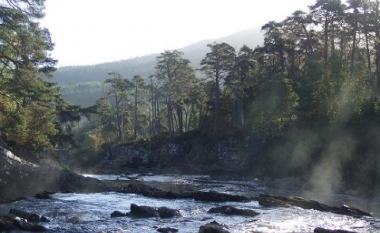 The River Moriston, near the Dundreggan Estate. Scots pine and other native trees grow along the river, but much of the glen is given over to commercial conifer plantation of low biodiversity value. Photo: Philip Mason.