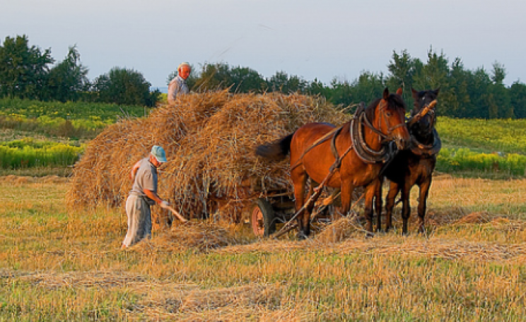 Polish farmers hard at work gathering in the hay crop. Photo: Hejma via Flickr.com.