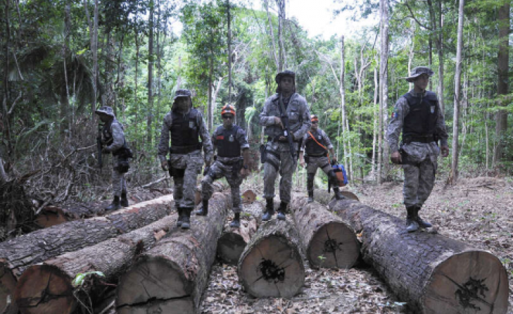 Soldiers at an illegal logging camp on Awá land. The Brazilian government has mounted a huge operation to evict illegal invaders from the Awá's forest. © Mário Vilela / FUNAI.