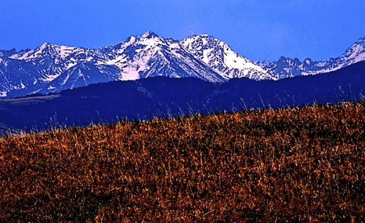 Bridger Mountains. Photo: Jeffrey St. Clair.