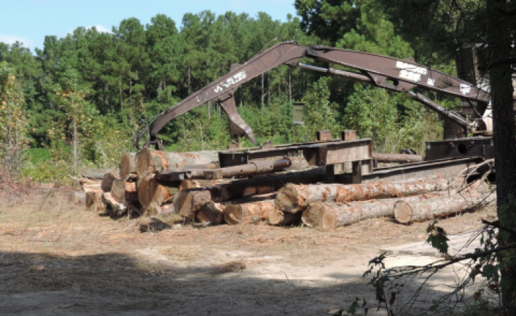 On its way to Drax? A loader picking up trees from a clearcut for Enviva near the Ahoskie mill, North Carolina. Photo: Dogwood Alliance.
