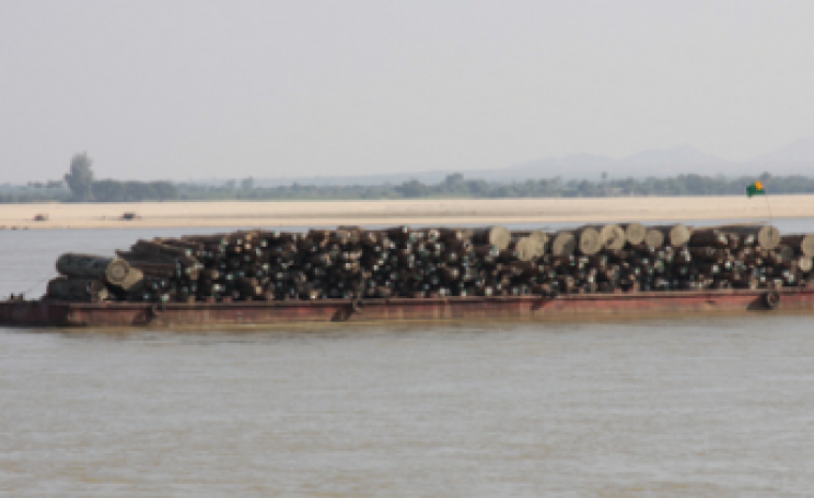 Teak logs on the Irrawaddy River on their way from the forests of northern Myanmar to markets in Mandalay or Yangon. Photo: Terry Feuerborn via Flickr.com.