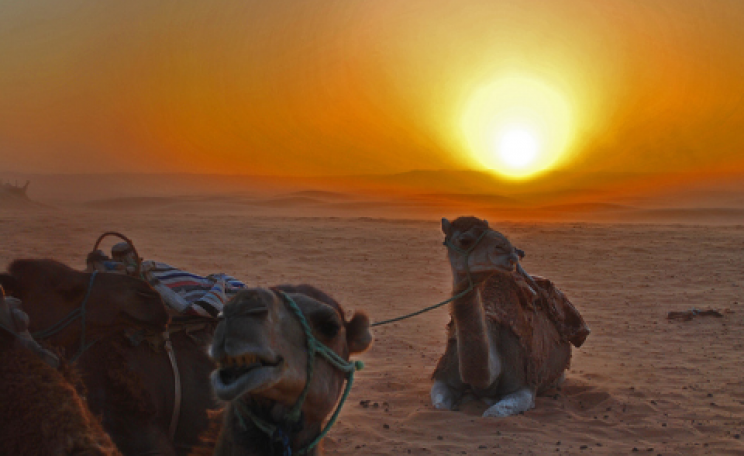 Sandstorm at sunset in the Sahara - Ksar Ghilane, Tunisia. Photo: Kirk K via Flickr.com.
