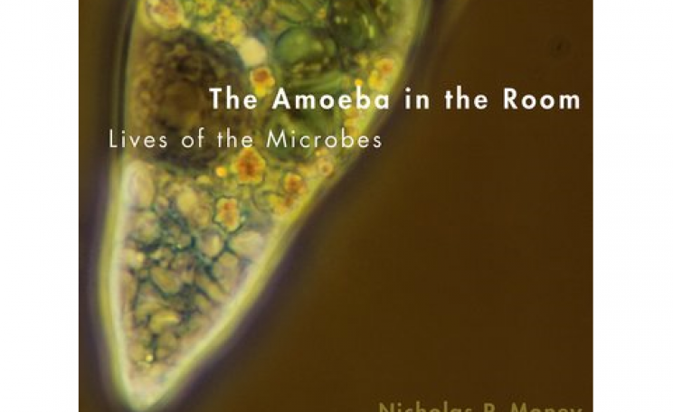 The Amoeba in the Room front cover - Nicholas Money / OUP.