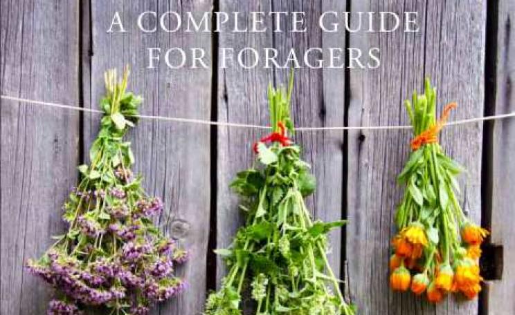 'Wild Food - a complete guide for foragers' by Roger Phillips - front cover.