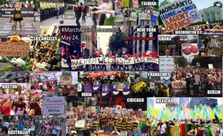 Montage of March Against Monsanto events yesterday by WTFRLY.COM.