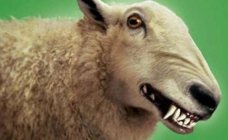 Beware wolves in sheep's clothing! Photo: public domain.