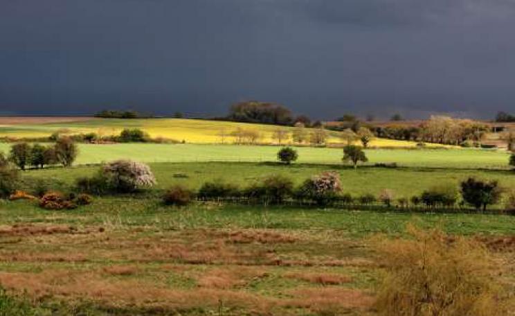We can expect more of this: a thunderstorm rises over the Norfolk countryside. Photo: Nick Ford via Flickr.