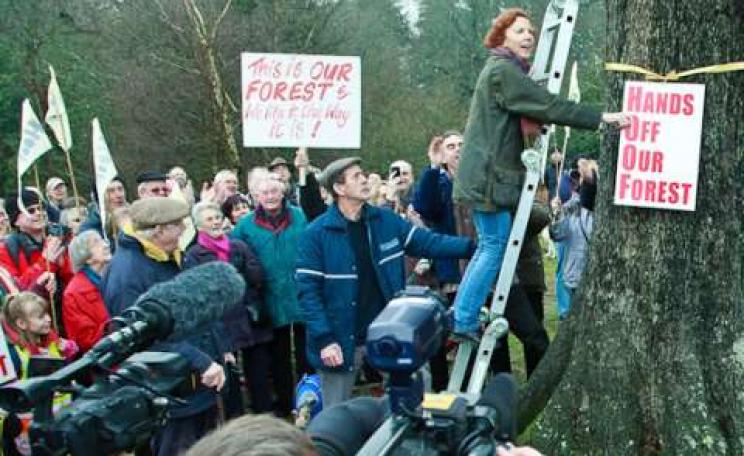 Hands Off Our Forest protest in the Forest of Dean, 2011. Photograph by John F French.