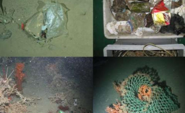 Surveys off the coast of Europe revealed all kinds of human trash, including plastic bags (upper left and lower right), beer cans (lower left) and glass bottles (upper right). Photo: Pham et al.