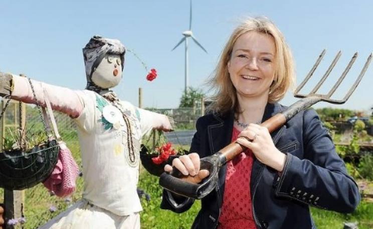 MP Liz Truss with wind turbine at the Family Action's Escape Allotment in Swaffham. Photo: Matthew Usher / edp24.co.uk/.