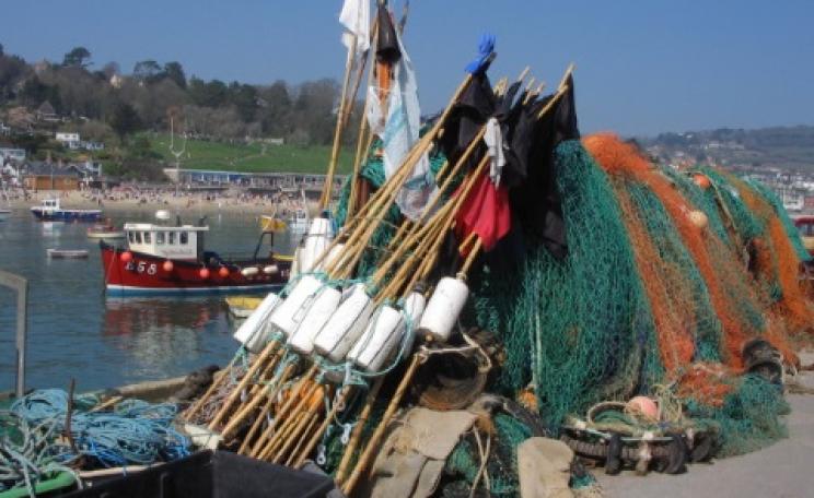Artisanal fishing nets at the Cobb, Lyme Regis, Lyme Bay. Photo: geograph.org.uk via Wikimedia Commons.