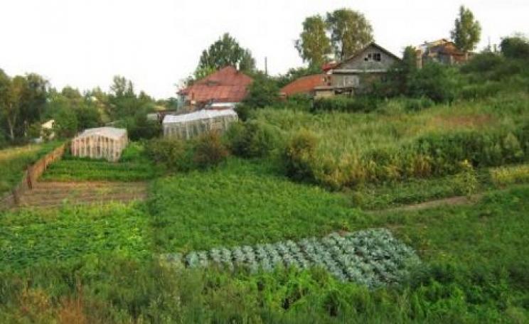 A typical small farm in Russia of the kind that provides much of the nation's food. Photo: Vmenkov CC.