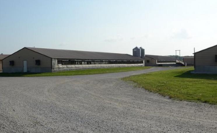 With the 'right to farm' constitutional amendment, this factory-scale hog farm in Missouri may be immune from regulation for environmental impacts, animal welfare and working conditions. Photo: KOMUnews via Flickr.
